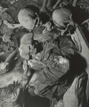 La Morgue, Hospice du Grand St. Bernard