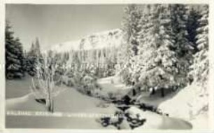 Winterlandschaft bei Holzhau im Erzgebirge