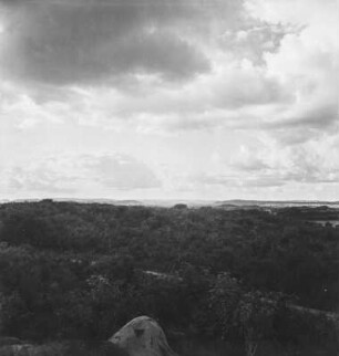 Regenwald : Blick über den Regenwald in der Region Kigoma