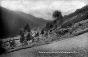 Schwarzwassertal mit Bahnlinie : Schwarzwassertal, ein Seitenarm der Preßnitz Richtung Jöhstadt