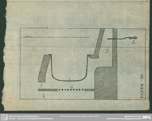 Tab. XXXVI [XXXVII].