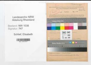Entnazifizierung Elisabeth Schlief , geb. 15.02.1897 (Wirtschafterin)
