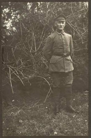 Knorr, Wilhelm