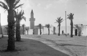 Moschee : Msallata-Al-Kusbat. Pfirsichbaumstraße in der Altstadt, Palmenallee vor einer Moschee mit Minarett