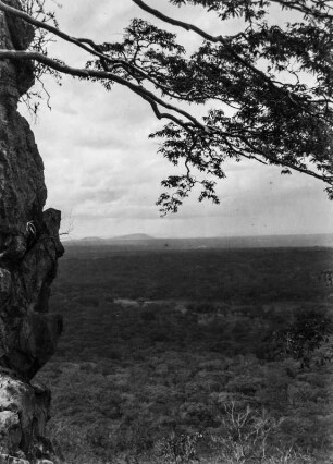 Dambo : Blick über ein Dambo.