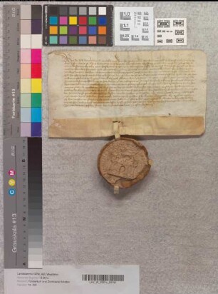 Erbhuldigung der Stadt Wunstorpe (Wunstorf, Fstm. Calenberg) an Bischof Albert von Minden und das Stift.