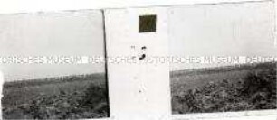 Feld zwischen Bailleul und Thelus