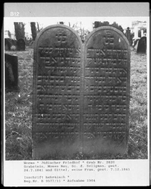 Grabstein von Moses Neu, Sohn des Seligman (gestorben 1841.07.24) und Gittel (gestorben 1841.12.07)