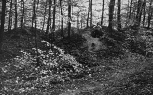 Hügelgräber im Langel