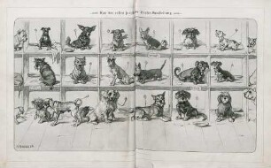 "Aus der ersten juryfreien Hunde-Ausstellung"