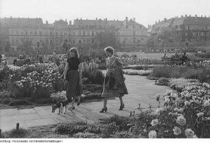 Dresden, Neustadt, Alaunplatz, September 1954