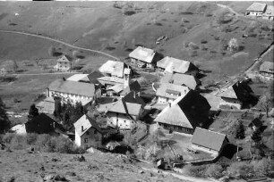 Todtnau: Dorf Aftersteg bei Todtnau; Durchblick durch Tannen
