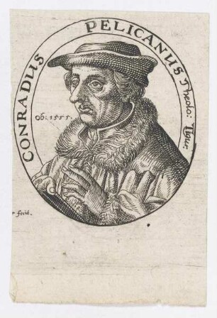 Bildnis des Conradus Pelicanus