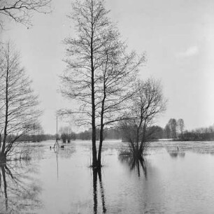 Landschaftsbild. Frühling im Spreewald. Birkenallee in Leipe. Die Wiesen sind überschwemmt. : Wobraz krajiny. Nalěćo w Błótach. Brězowa aleja w Lipjem. Łuki su přepławjene.