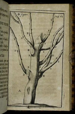 4. figure