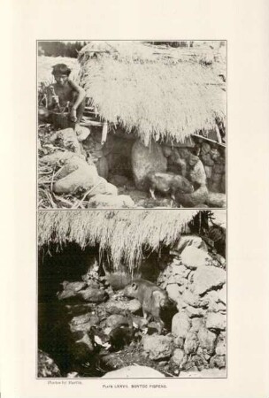 Plate LXXVII. Bontoc pigpens