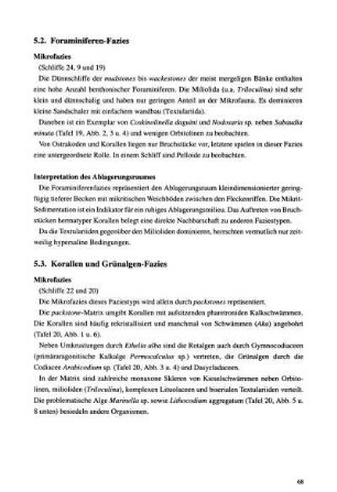 5.3 Korallen und Grünalgen-Fazies
