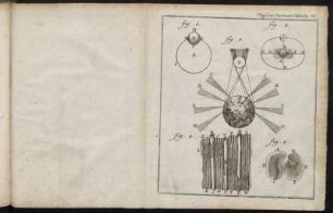 Physicæ Particul. Tabula VII.