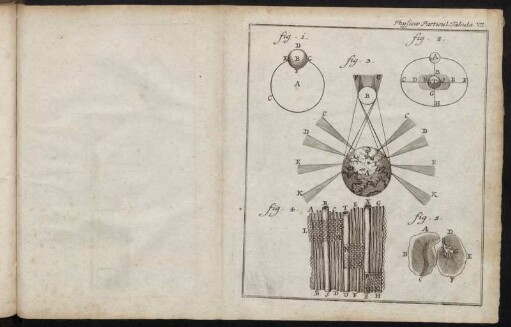 Physicæ Particul. Tabula VII.