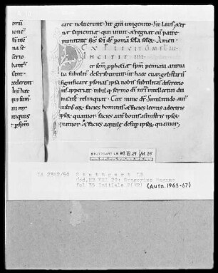 Gregorius Magnus, Homiliae in Ezecchielem — Initiale P(er), Folio 35recto