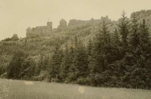 Burg Salzburg von Süden