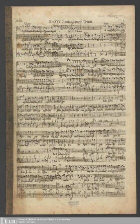 Ms. Ff. Mus. 832 - Am XXV. Sontage nach Trinit. : N. 68