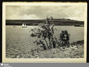 14 Am Galgenteich bei Altenberg