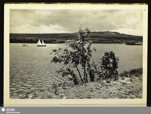 14 Am Galgenteich bei Altenberg