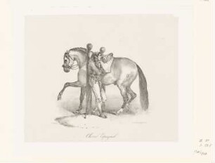 Cheval Espagnol, Blatt 4 der Folge "Etudes de Chevaux Lithographies"