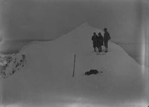 Bergsteiger : Drei Personen auf dem Gipfel des Venediger (Ca. 3660m)