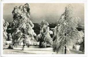 Erzgebirge. Rauhreif im Erzgebirge