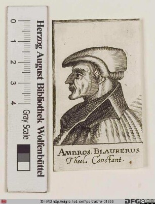 Bildnis Ambrosius Blarer (Blaurer) (von Giersberg)