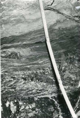Freital-Zauckerode. Paul-Berndt-Grube (ehemaliger Königin-Carola-Schacht). Streb 35/9 (x - 940, y - 920). Hangendes (Grüne Schale) im Kohleflöz