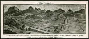 Alter Stich von der Ansicht von Annweiler, Heimatmuseum