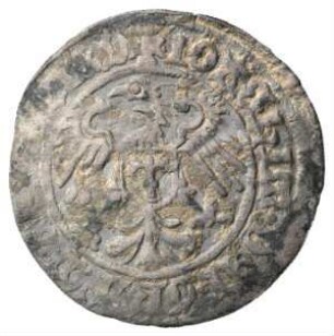 Fundmünze, Groschen, 1/24 Taler (Groschen), 1503