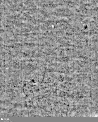Lilienschild + IESV / LW = S.5/6