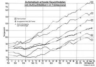 Automatisch erfasste Gewichtsdaten von Aufzuchtkälbern im Tränkestand