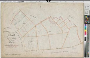 Rheine (Rheine), Zusammenlegung Rheine, Urkarte II Rheine Stadt Flur 12