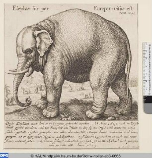 Der gezähmte Elefant
