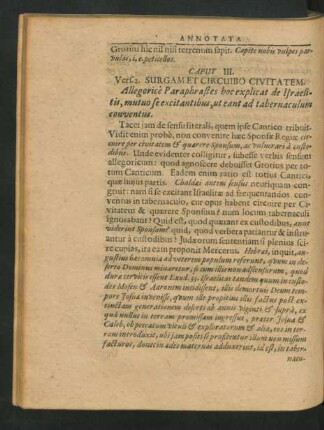 Caput III. Surgam Et Circuibo Civitatem.