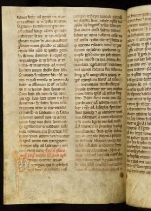 Novum Testamentum (unvollständig, Epistolae Pauli)