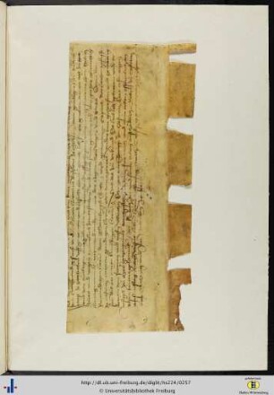 Treueidleistung des Vogts von Gottlieben gegenüber dem Konstanzer Bischof Hermann [von Breitenlandenberg]; beglaubigt von Ulrich Ehinger; Datum: Konstanz, am Samstag nach Christi Himmelfahrt 1469.