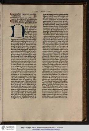 Incipit liber undecimus de homine et partibus eius.