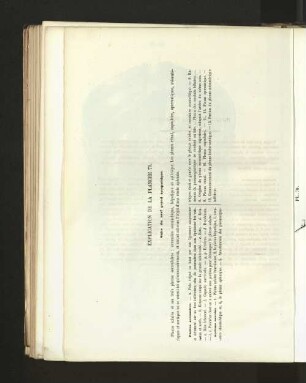 Pl. 70.