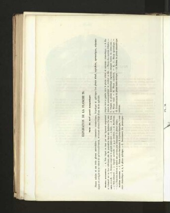 Pl. 70.