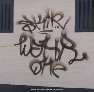 SKiR WaHR one
