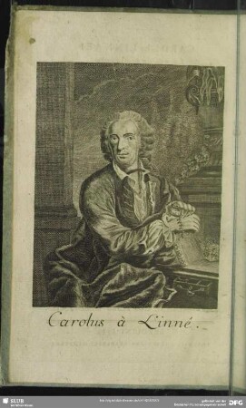 Carolus a Linne