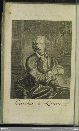 Carolus a Linne