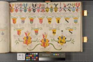 Proband: Wrede, Ferdinand Joseph von; Vater: Wrede, Ferdinand Karl von; Mutter: Asseburg, Anna Elisabeth Clara Lucia von der: Westfalen, Hzgtm, Ritterschaft
