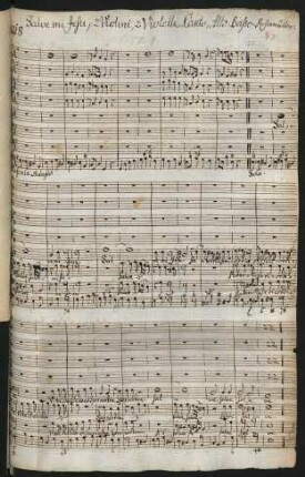 Salve mi Jesu pater misericordiae; V (3), strings, bc; e-Moll